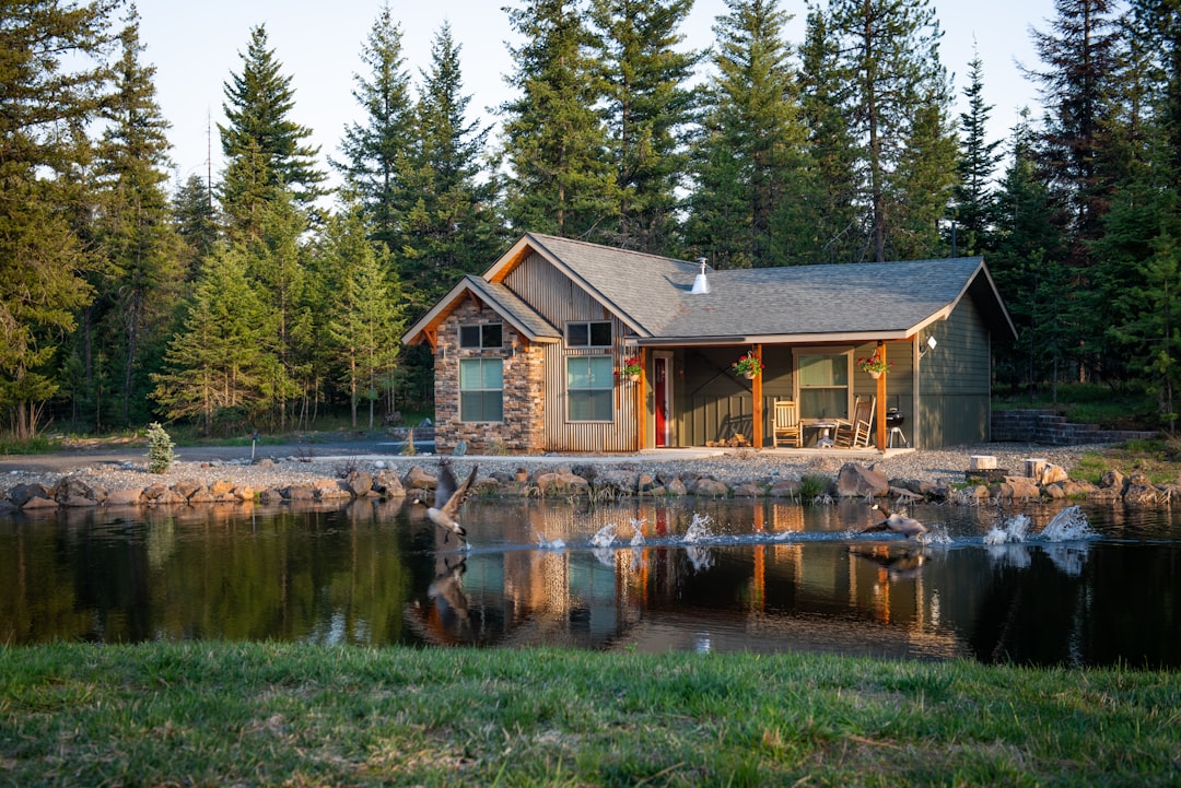 Crafting Captivating Headlines: Your awesome post title goes here brown-house-beside-body-of-water-hbh9jbyectg